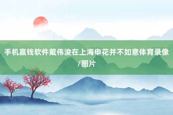 手机赢钱软件戴伟浚在上海申花并不如意体育录像/图片
