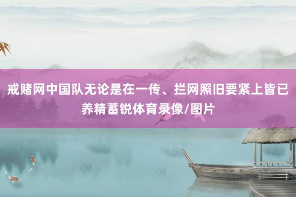 戒赌网中国队无论是在一传、拦网照旧要紧上皆已养精蓄锐体育录像/图片