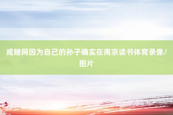 戒赌网因为自己的孙子确实在南京读书体育录像/图片